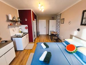 Foto dalla galleria di Guest House Barocco a Rovigno (Rovinj)