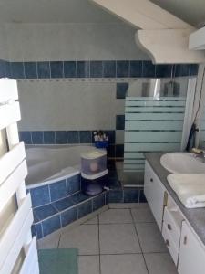 a bathroom with a tub and a sink at Tiny House Eurovelo 6 in Chalon-sur-Saône +14 photos
