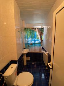 a small bathroom with a toilet and a sink at Hotel Noy in Varna City