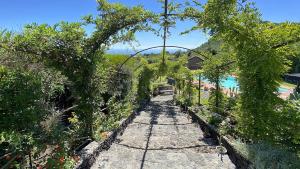 Příroda nedaleko vily