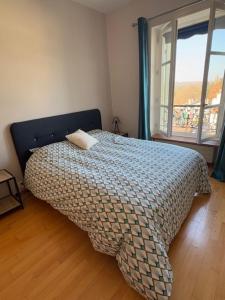 Una cama o camas en una habitación de Magnifique vue Parc des Sources