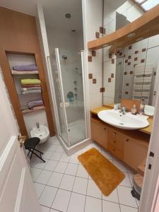 Un baño de Magnifique vue Parc des Sources