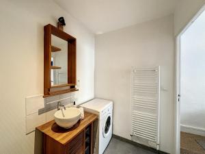 un bagno con lavandino e lavatrice di Cosy Appartement, St Sebastien a Lione