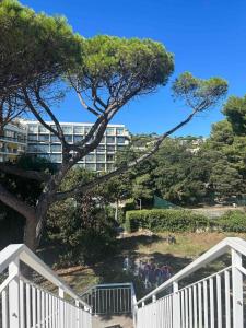 een boom met een gebouw op de achtergrond bij Studio Moderne Cannes - Parking - Proche de la plage in Cannes