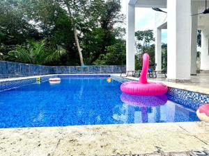 Kolam renang di atau dekat dengan Double P Ranch 20 guests, BBQ and pool Buggy rental