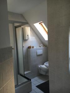 a bathroom with a toilet and a skylight at Zweite Heimat Ferienwohnungen in Herdecke +23 photos