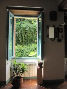 an open door with a window in a room with plants at Appartamento carino in Pescia