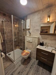 un bagno con doccia, WC e lavandino di Ferienwohnung Bavarian Relax - inklusive GästeCARD a Sankt Englmar Altre 36 foto