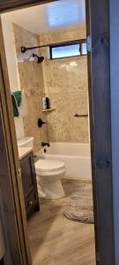 a bathroom with a toilet and a tub and a sink at Greer Point Trails End Cabins in Greer