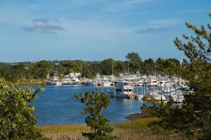 a bunch of boats are docked in a marina at North Harbor Montauk in Montauk