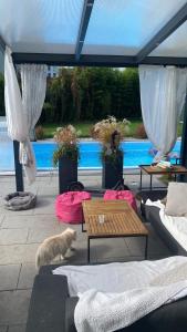 a cat is standing on a patio with a table and benches at House Apartment am See in Markkleeberg