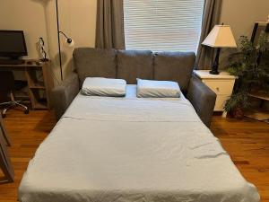 a couch with two pillows on it in a living room at Entire Apt in Heart of Chicago in Chicago