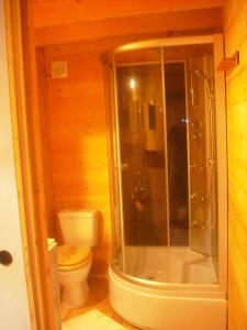 ein Bad mit einer Dusche und einem WC in der Unterkunft Chalet Monts Jura in Mijoux