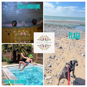 a collage of photos with a dog in a swimming pool at Gîte Les Eaux du Moulin piscine chauffée et jacuzzi in Vittefleur