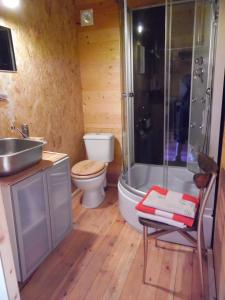 a bathroom with a shower and a toilet and a sink at Chalet Monts Jura in Mijoux