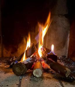 Fotografie z fotogalerie ubytování Hus med utsikt över sjö Vittsjön v destinaci Vittsjö