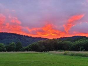 un tramonto su un campo verde con alberi sullo sfondo di Domki Magiczne Miejsce a Hużele Altre 6 foto