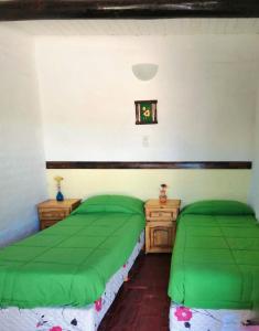 two beds in a room with green sheets at Posada Malbec 3 Dormis in Uspallata