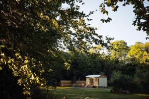 a small shed in the middle of a field at Cwtch Ffynnone Luxury Shepherds Hut in Newchapel