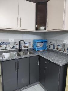 Η κουζίνα ή μικρή κουζίνα στο New zarqa