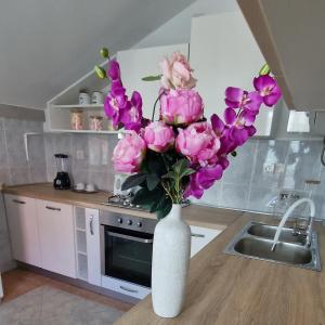 un jarrón blanco lleno de flores rosas en la encimera de la cocina en Villa Moderna Belišće, en Belišće