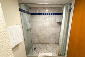 een douche met een glazen deur in een badkamer bij Elegant with bars & beach access! in Puerto Vallarta +28 foto's