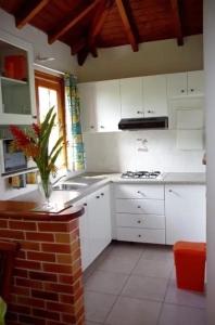 a kitchen with white cabinets and a vase of flowers at Charmante maison à Sainte-Anne avec jardin in Sainte-Anne