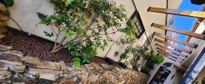 Edificio in cui si trova il bed & breakfast