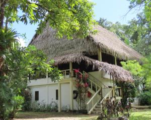 een huis met een rieten dak en een trap bij Creekside Oasis in San Felipe