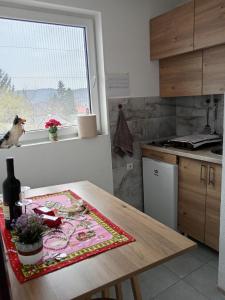 Kuchyň nebo kuchyňský kout v ubytování Apartman N&N