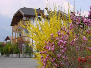 Zahrada ubytování Pension Appartment Hecherhof