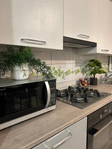 a kitchen counter with a microwave and some plants at Sara Suite in Sibiu