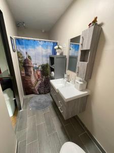 The Suites & Vintage Apartment at Casa Of Essence in heart of Old San Juan的一间浴室