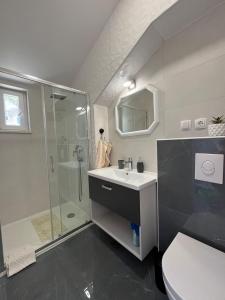 a bathroom with a shower and a sink and a toilet at Apartments Dobrila in Zavala