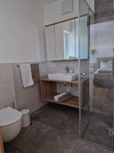 a bathroom with a sink and a toilet at Apartment Bergland in Sankt Johann im Pongau +6 photos