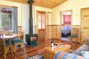 a living room with a wood stove in a room at Fergies Hill Spa Cottage @ Granite Ridge Wines in Ballandean
