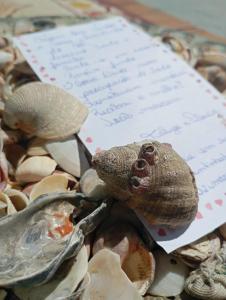Φαγητό σε αυτή η παραθεριστική κατοικία ή κάπου εκεί κοντά