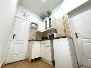 Kuchyňa alebo kuchynka v ubytovaní Central Private Apartment-7pax