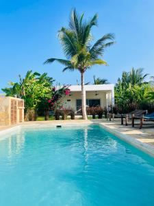 Kolam renang di atau dekat dengan Relax Villa Kiwengwa