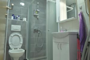 Un baño con ducha, inodoro y lavabo. en Planinski san, en Palisat