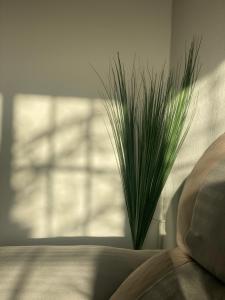 una planta sentada en una cama junto a una ventana en Casa Las Martina, en La Verada