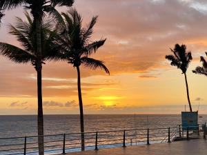 two palm trees on the beach at sunset at Apartamento Paraíso Playa in Los Llanos de Aridane