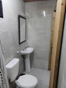 a bathroom with a white toilet and a sink at Cabaña DON LITO in Ciudad Lujan de Cuyo +6 photos