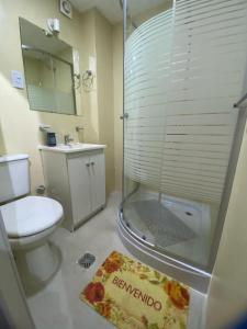 a bathroom with a shower and a toilet and a sink at Salta la Linda in Salta +6 photos