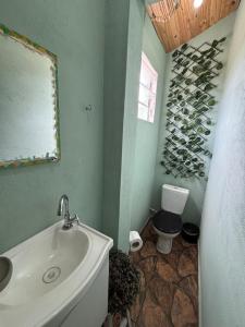 een badkamer met een wastafel, een toilet en een wijnrek bij Chacara com Chale em Taubate in Taubaté