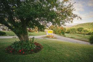 a tree in a yard with flowers next to a road at Town & Country Inn & Resort in Gorham