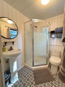 a bathroom with a shower and a toilet and a sink at Lakefront Hot Tub Getaway in Traverse City