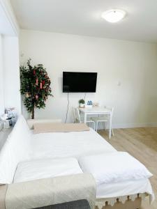 TV a/nebo společenská místnost v ubytování Si & Daniel Home Near YVR Airport & Skytrain Separate Entry Free Parking