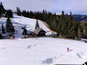 Hut in Bad St Leonhard with barbecue durante el invierno