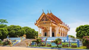 Zahrada ubytování Ananas Samui Hostel